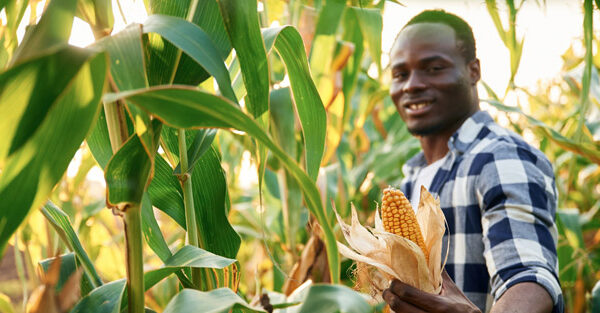 Business presentation on corporate meeting.