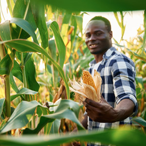 update-service-01-300x300-food